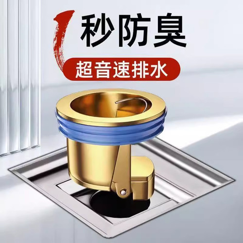 卫生间通用下水管道防返臭神器反味内芯反水止逆阀全铜地漏防臭器