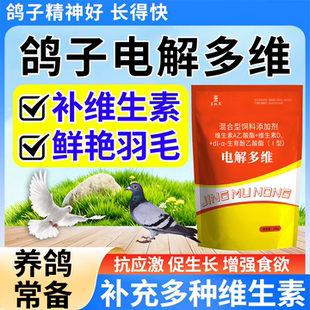 电解多维鸽子专用补充营养抗应激增强体质种鸽赛鸽恢复体能专用