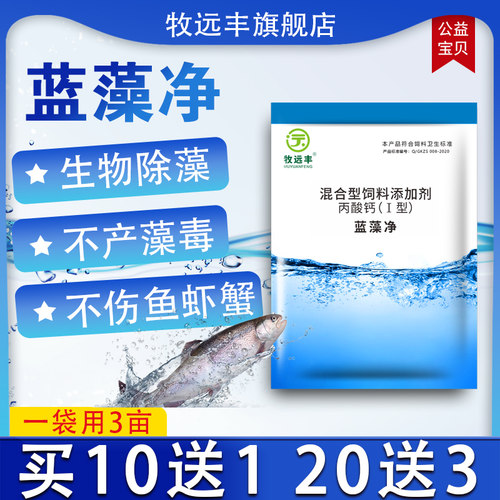 分解素酶青苔黑毛速灭克星除藻剂