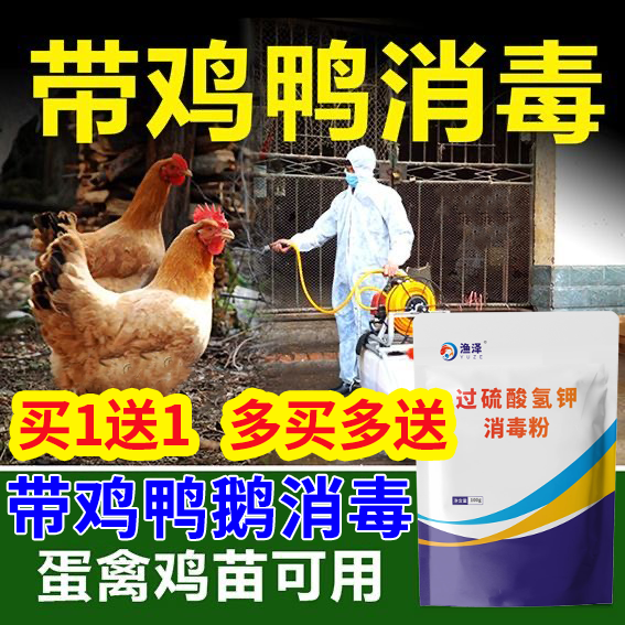 鸡鸭鹅圈鸡棚消毒圈舍消毒养殖场