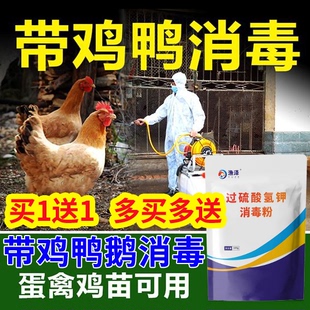 养鸡场专用消毒液鸡棚鸡鸭圈舍消毒粉鸡厂鸡用过硫酸氢钾消毒粉剂