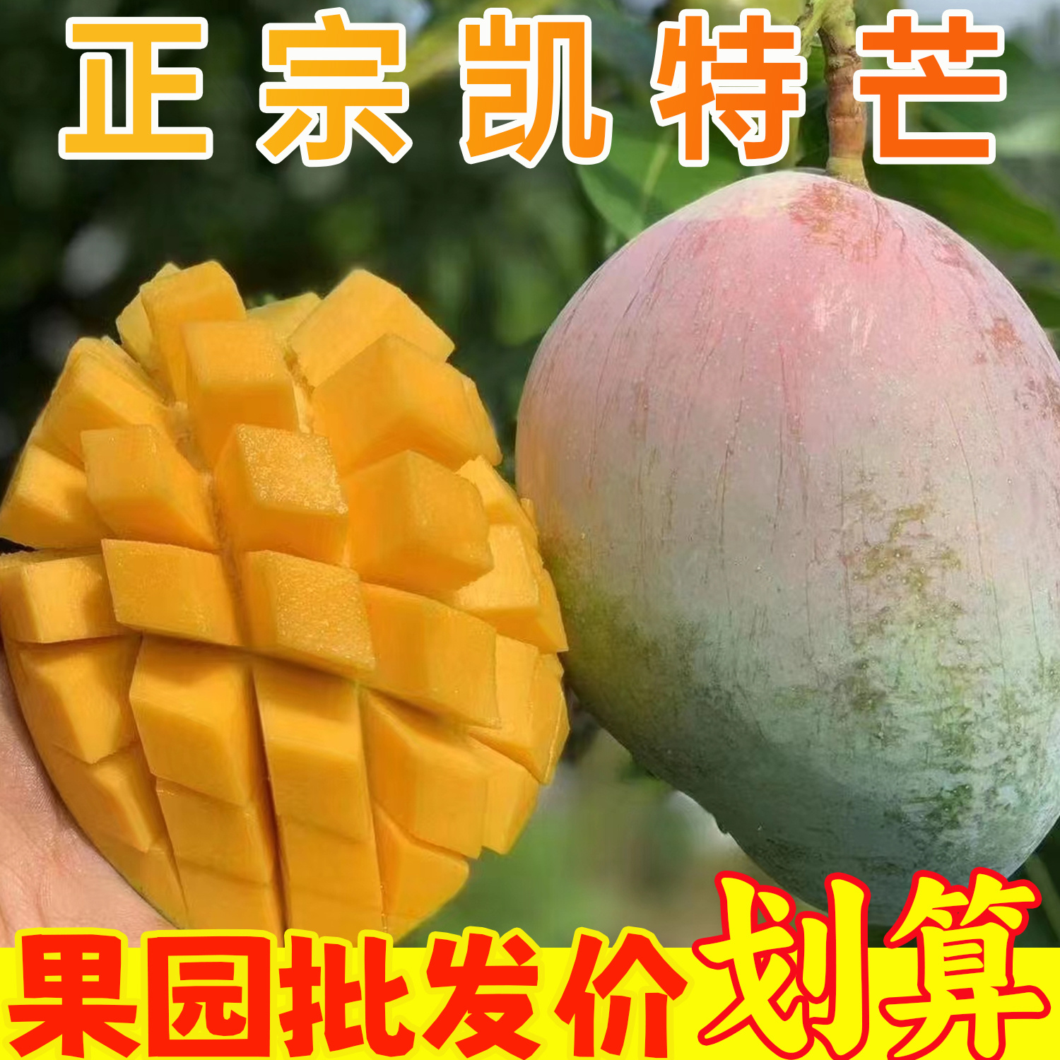 【划算】现摘攀枝花凯特芒果树熟新鲜芒果特大果孕妇水果整箱包邮