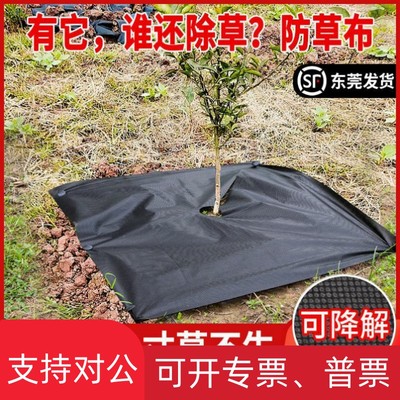 适用新型防草地布防草布厂家地膜农用薄膜除草地布透气透水果树盖