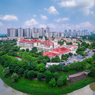 【乐享端午】重庆长寿碧桂园酒店森氧邻溪房含早+粽香手作+多礼遇