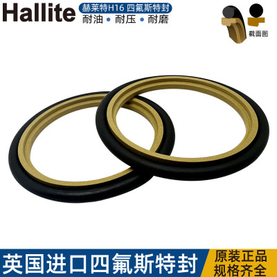 英国赫莱特H16四氟方形圈斯特封
