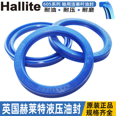 hallite进口油封赫莱特605 50*65 70*10 11 13*46119 46170 46120
