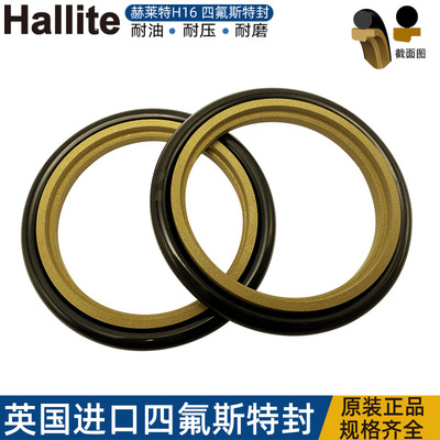 英国赫莱特H16四氟方形圈斯特封