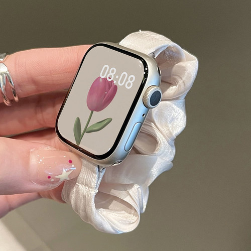 适用苹果s10大肠发圈编织表带