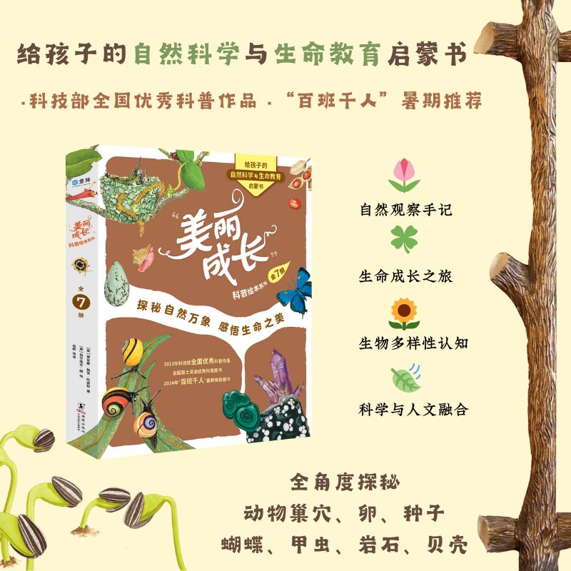 美丽成长科普绘本系列（平装全7册）（奇想国童书）科普图画书 3-9岁适读