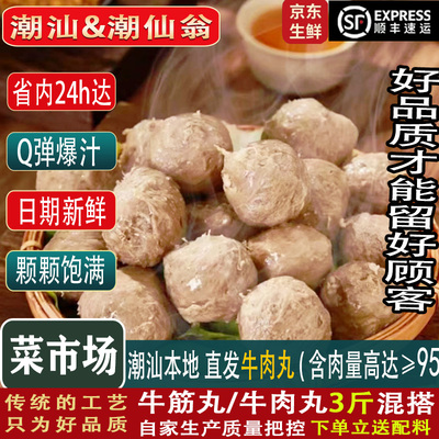 牛肉丸潮汕省内次日达新鲜日期