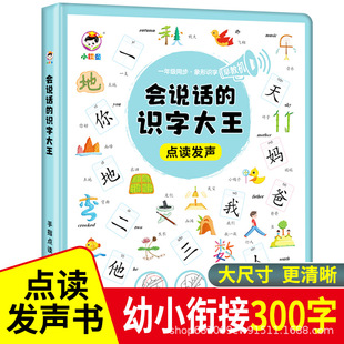 识字大王发声书幼儿学前启蒙认字儿童认字有声书 会说话