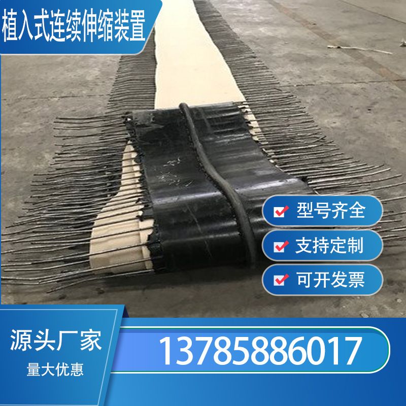 植入式伸缩装置橡胶止水带伸缩缝