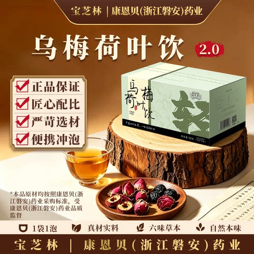 【宝芝林】乌梅荷叶饮2.0省中乌梅汤药食同源陈皮茶包冲泡即饮