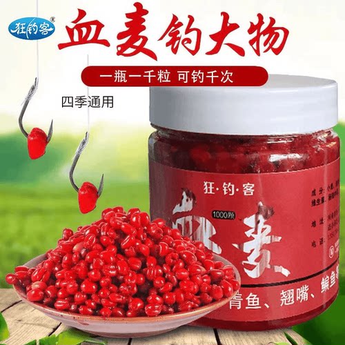 拍1发2/狂钓客血麦粒红虫麝香麦粒酒香饵料窝料鲫鲤草鳊颗粒饵料