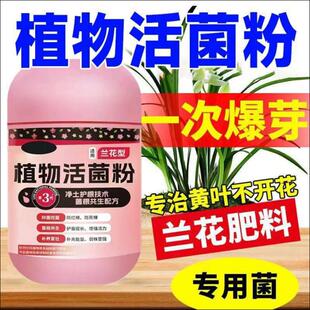植物活菌粉兰花专用微生物菌剂护根养根壮根防烂根神器水溶肥料