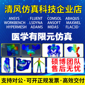 医学有限元 口腔牙骨科生物力学颈腰椎脊柱仿真分析ct重建模型代做