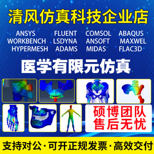 口腔牙骨科生物力学颈腰椎脊柱仿真分析ct重建模型代做 医学有限元