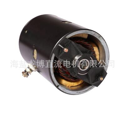 W-9993D动力元油泵用直流有刷海盐龙博电机1200w12v24V