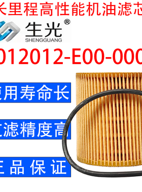 生光 1012012-E00-0000机油滤芯适配锡柴解放虎V凯马劲威等车型