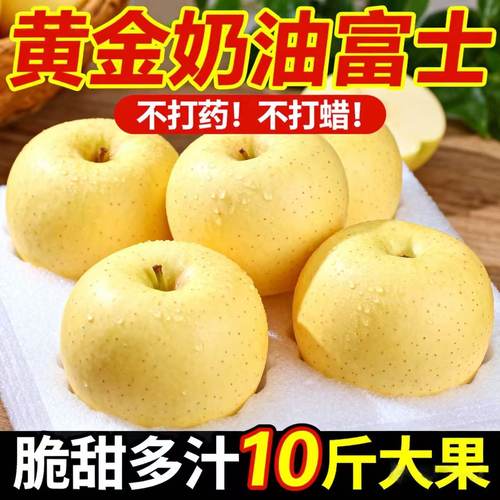 栖霞黄金奶油富士苹果鲜榨先发