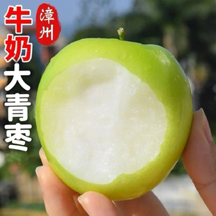 福建牛奶大青枣新鲜枣子当季水果现摘脆甜苹果枣奶油蜜枣冬枣包邮
