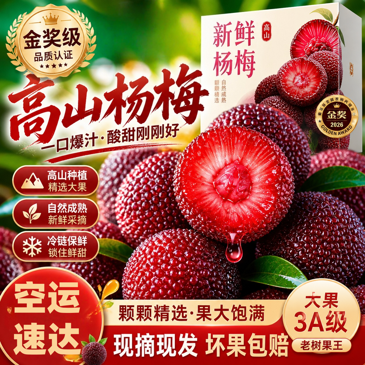 【空运速达】东魁杨梅现摘现发当季水果整箱包邮杨梅孕妇冷链