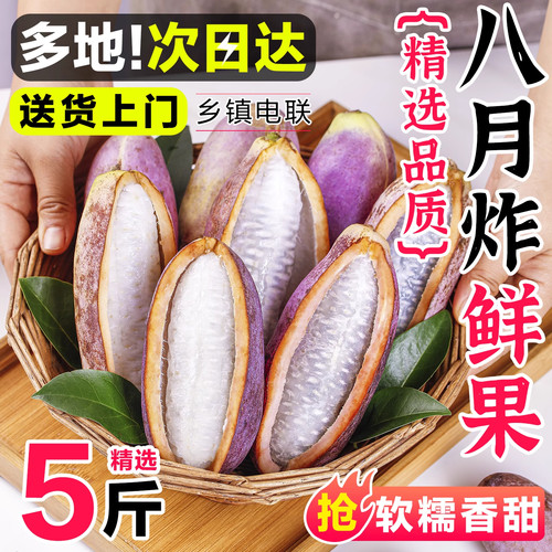 现摘八月瓜新鲜野生八月炸