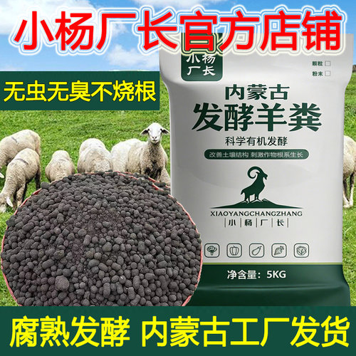 小杨厂长发酵羊粪买多少送多少