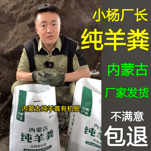 小杨厂长纯羊粪发酵有机肥料花蔬菜专用内蒙古腐熟羊粪球颗粒肥料