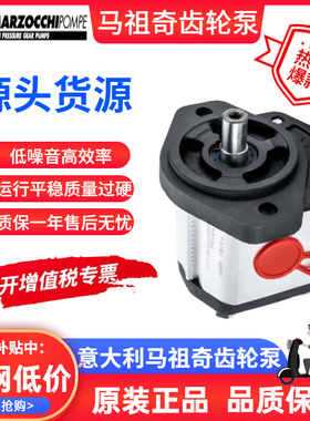 GHP1A/2A-D-2/3/4/5/6/7/9/11/13/16/20/34/37/50-FG马祖奇齿轮泵