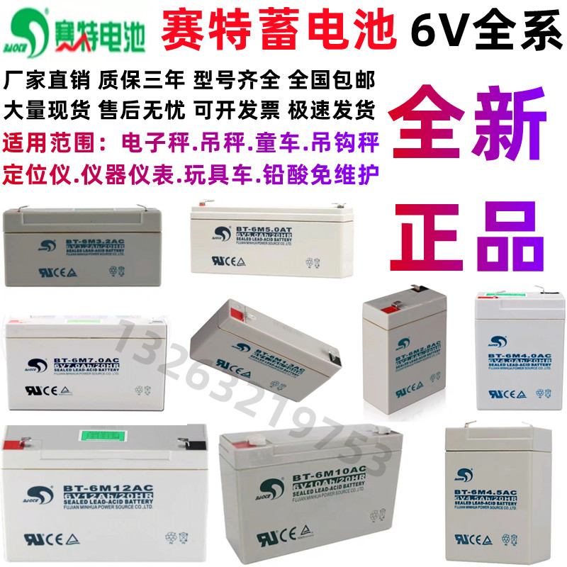 赛特蓄电池BT-6M6V电子.吊秤童车