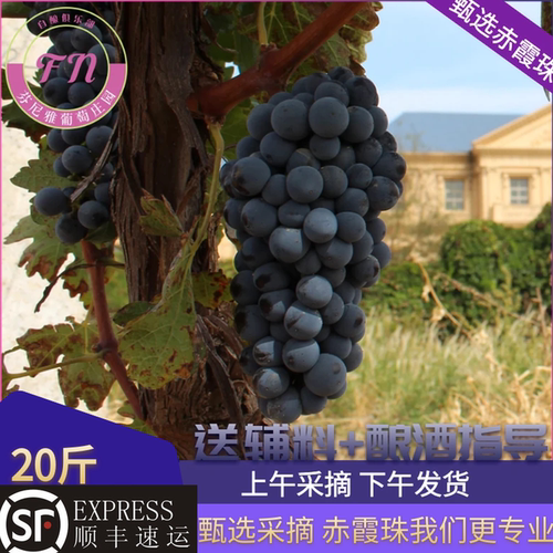 宁夏产区贺兰山赤霞珠梅洛马瑟兰