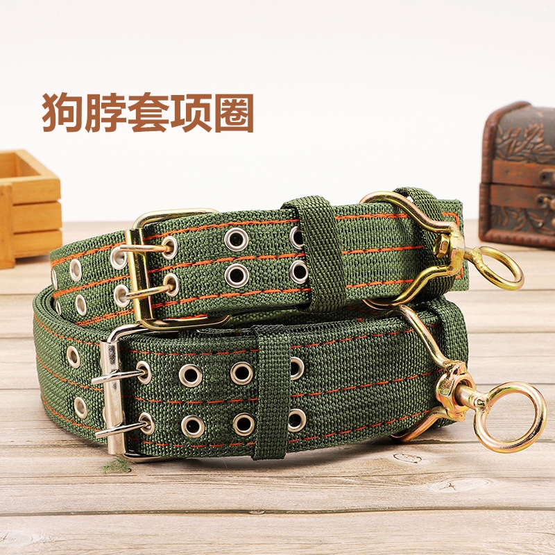 牵引犬小型狗脖套泡棉泰迪项圈