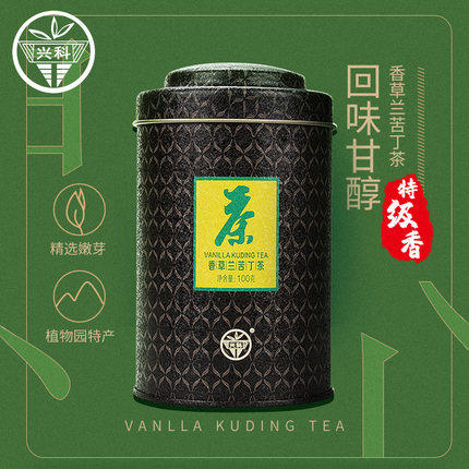 兴科香草兰苦丁茶100g罐装 特级绿茶窨制大叶冬青兴隆热带植物园