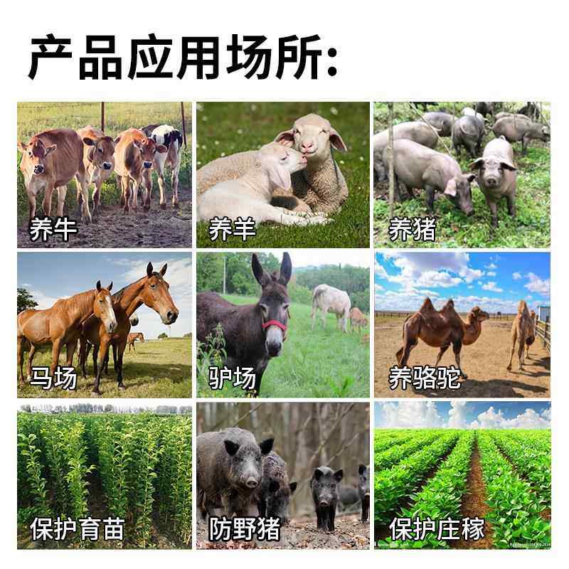 电子围栏脉冲主机系统全套养牛羊猪畜牧养殖智能高压防野猪电围栏