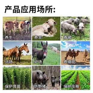 电子围栏脉冲主机系统全套养牛羊猪畜牧养殖智能高压防野猪电围栏