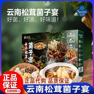 山姆代购 云南松茸菌子宴松茸鲜食用菌菇干货云南特产火锅炒菜正品