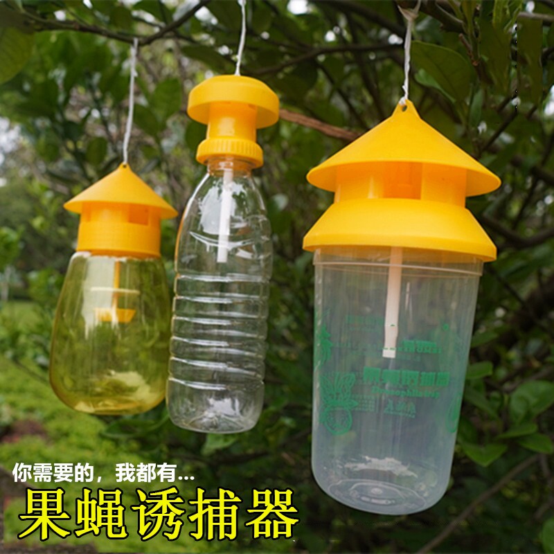 物理除虫瓶 药水果蝇诱捕器瓜果昆虫蔬果丝瓜杀虫剂诱杀剂涂剂
