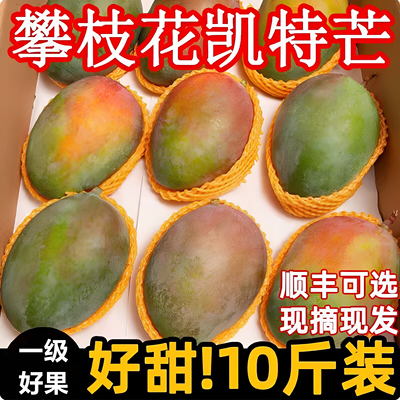 四川攀枝花凯特芒果香甜多汁