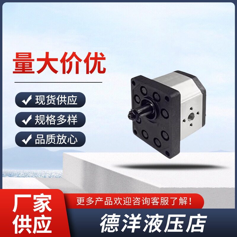 议价ROQUET齿轮泵1PLA36/45/54/66DB01 1PLD36-27DE10R液压油泵