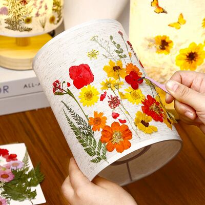 压花台灯diy材料包端午节手工花草灯压花干花儿童团建活动礼物小