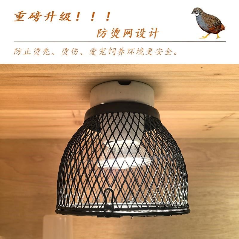 芦丁鸡专用饲养箱抽屉式保温箱防烫实木I双层大别墅幼鸡宠物鸡笼,宠物/宠物食品及用品,宠物鸡/鸭/鸽笼,淘宝优惠券,粉丝福利购,淘宝优惠卷