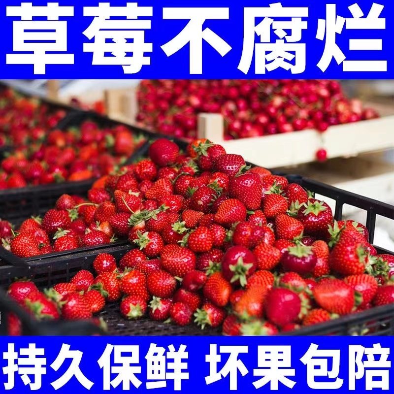 水果专用保鲜剂喷雾杀菌防腐剂食品级防焉草莓水果蔬菜延长存储液