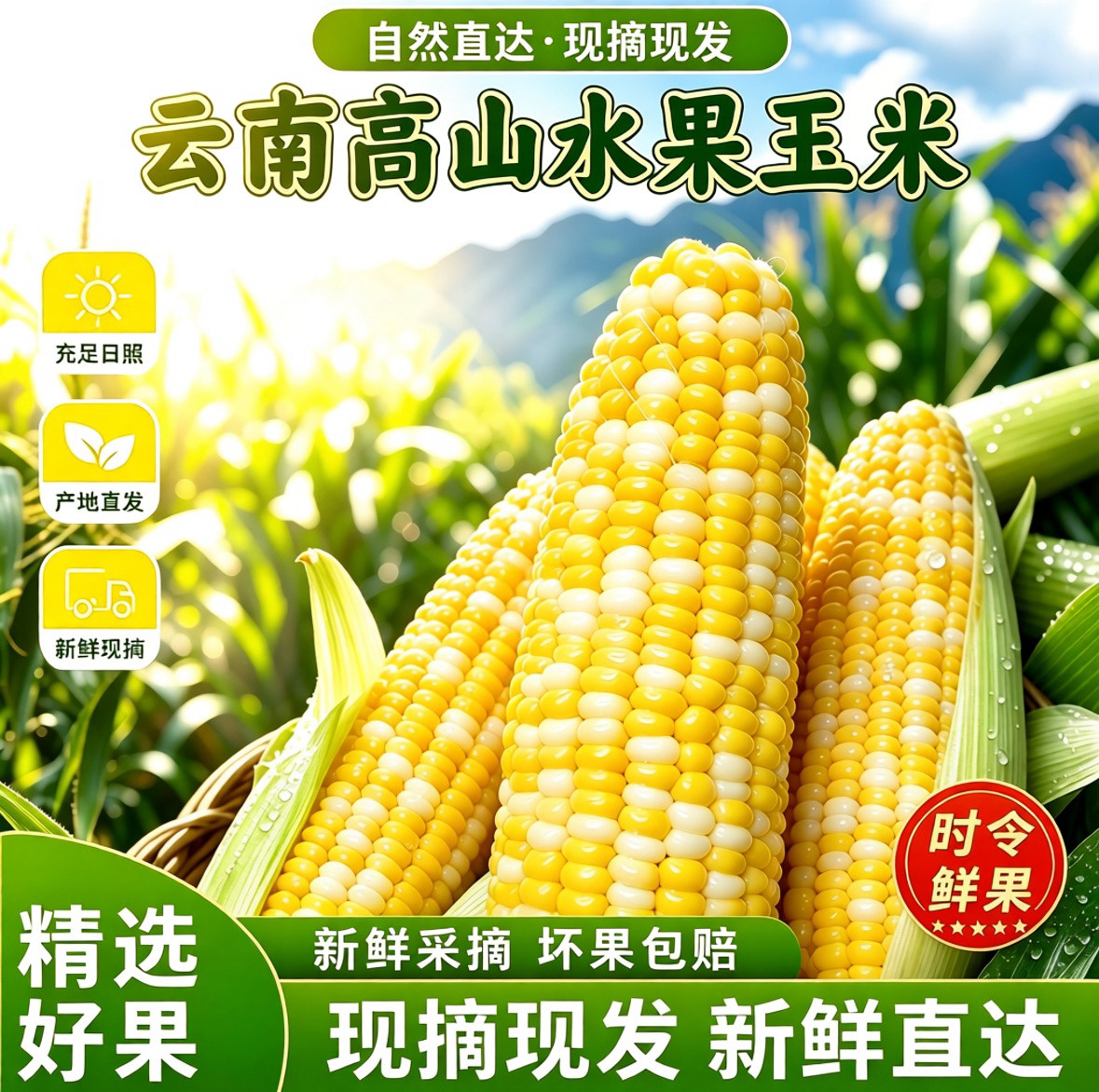 云南水果玉米双色脆甜生熟两吃