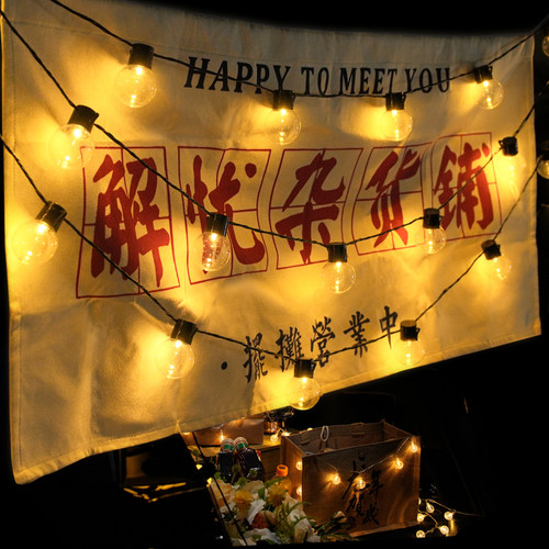 户外防水露营灯天幕帐篷挂灯彩灯