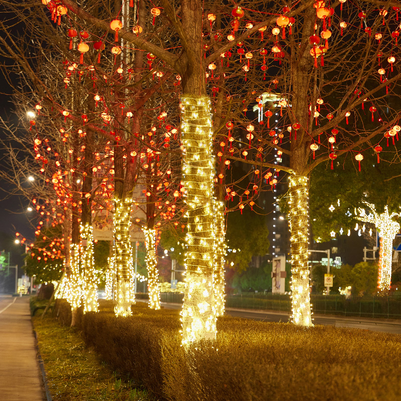 七彩变色霓虹灯LED小彩灯闪灯串灯满天星户外露营挂树节日装饰灯