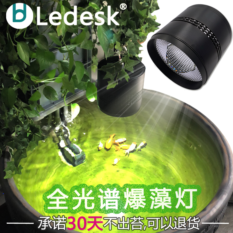 乐迪LED爆藻灯金鱼缸晒龟爆出苔 陶瓷瓦缸老北京鱼盆植物生长筒灯