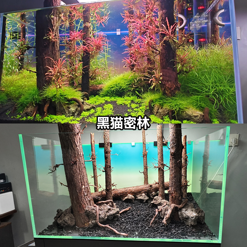 黑猫骑士密林鱼缸水草缸造景森林之歌杉木杜鹃根山水石森林景