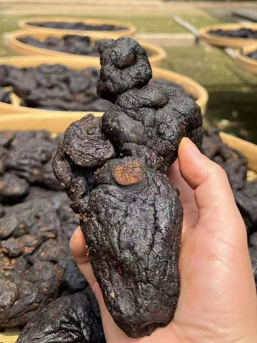 野生道家九蒸九晒黄精传统古法炮制即食黄精茶九制泡水辟谷中药材