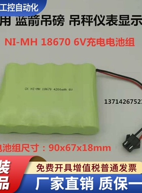 NI-MH 18670 4500mah 6V 适用蓝箭吊磅吊秤OCS仪表显示器充电电池